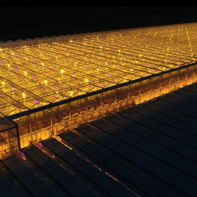 P.L. Light Systems
