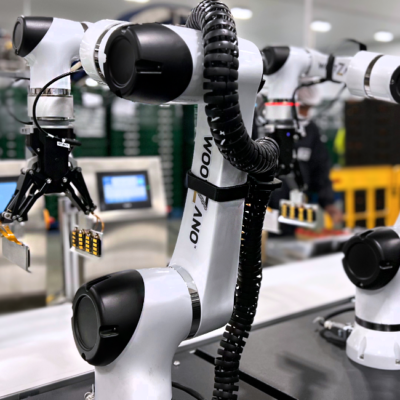 Avarai: The highly dexterous robotic solution for your post-harvest packing needs