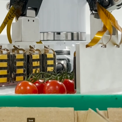 Avarai: The highly dexterous robotic solution for your post-harvest packing needs