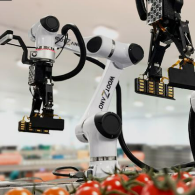 Avarai: The highly dexterous robotic solution for your post-harvest packing needs